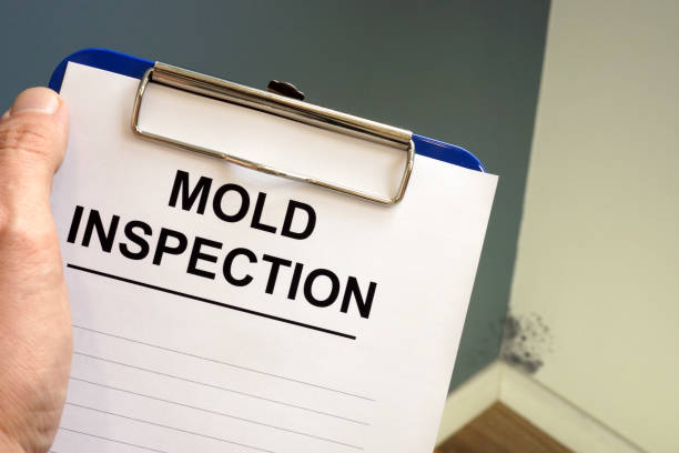 Best Air Quality Testing for Mold Spores  in West Brattleboro, VT